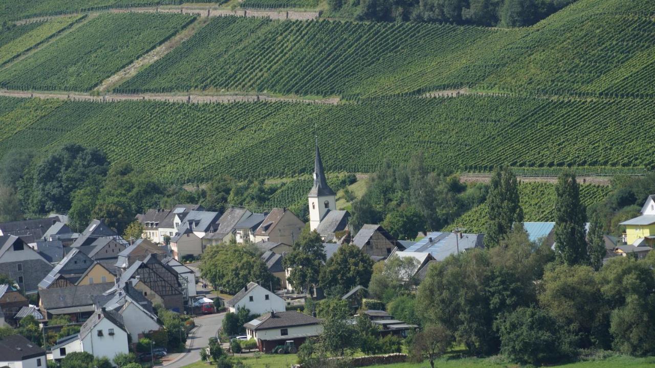 Altes Winzerhaus - Ferienhaus Burgen  Buitenkant foto